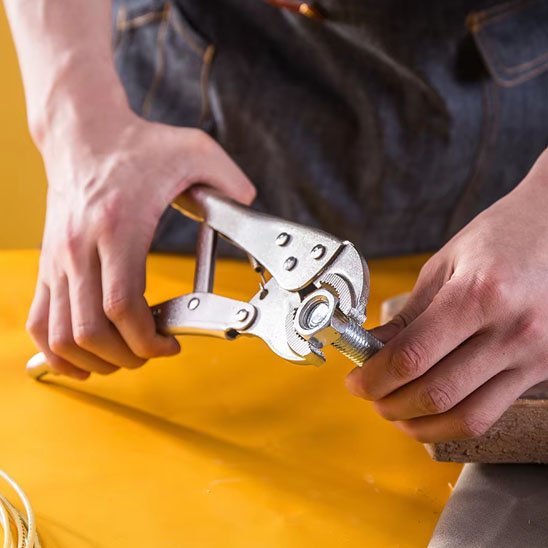 Pince étau | Professionnelle